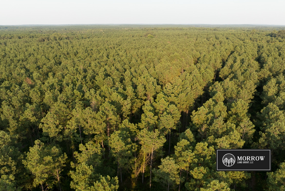 Dutch John Tract in Bossier Parish, LA