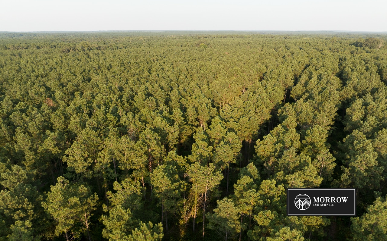 Dutch John Tract in Bossier Parish, LA