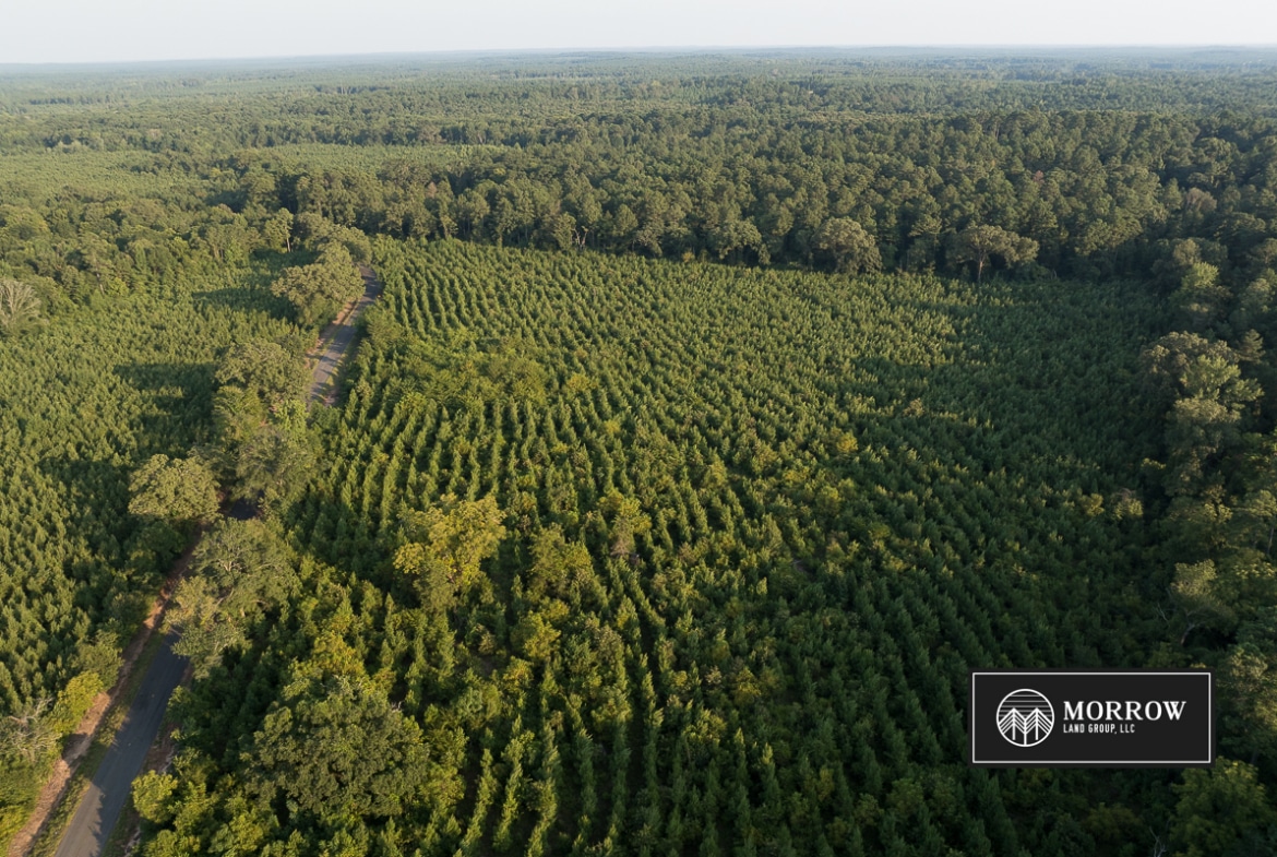 Dutch John Tract in Bossier Parish, LA