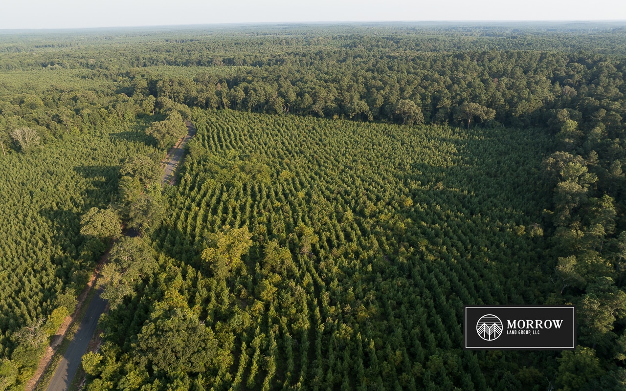 Dutch John Tract in Bossier Parish, LA