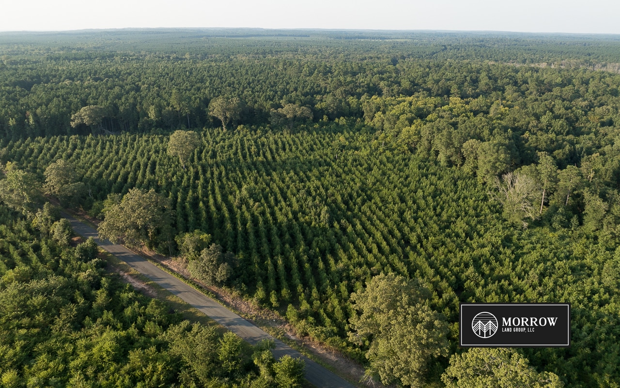 Dutch John Tract in Bossier Parish, LA