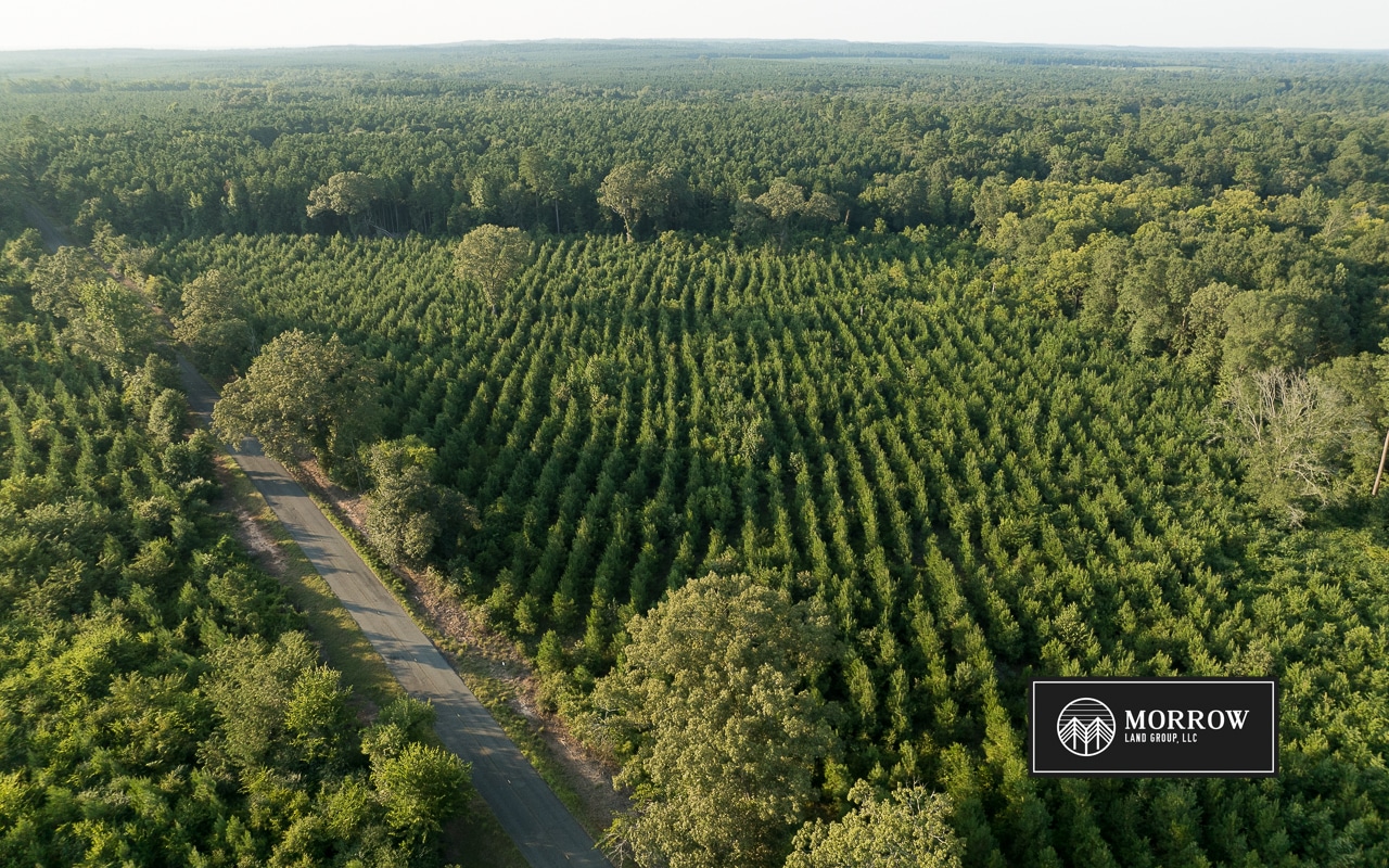 Dutch John Tract in Bossier Parish, LA