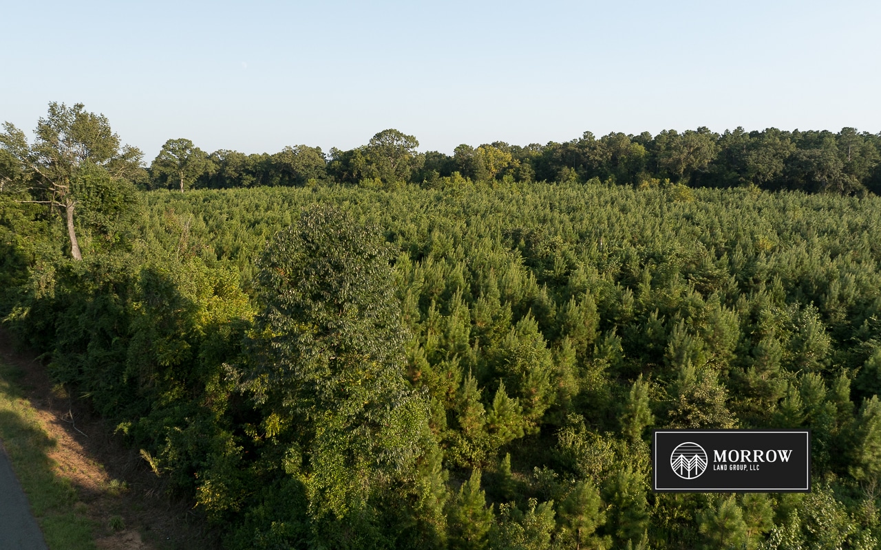 Dutch John Tract in Bossier Parish, LA