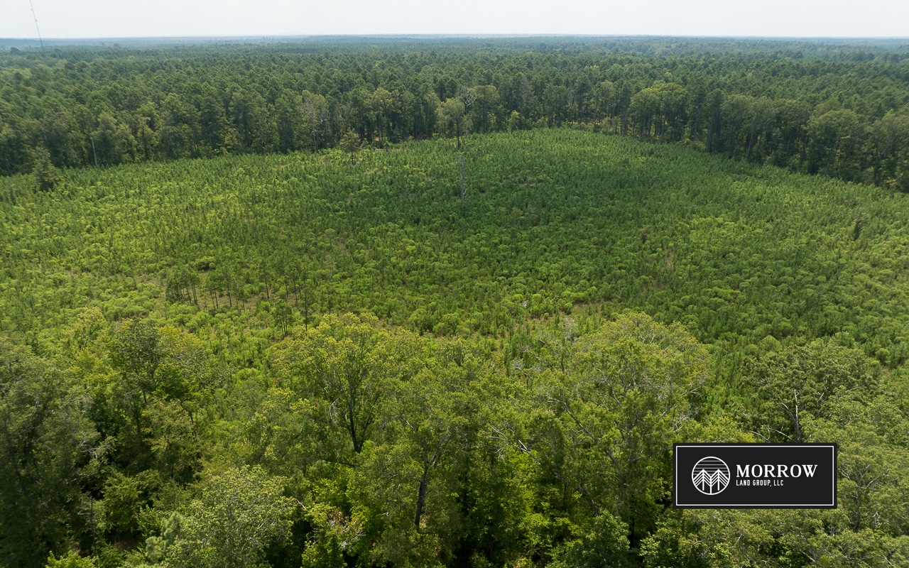 Emma Cemetery Road Tract in Bossier Parish, LA