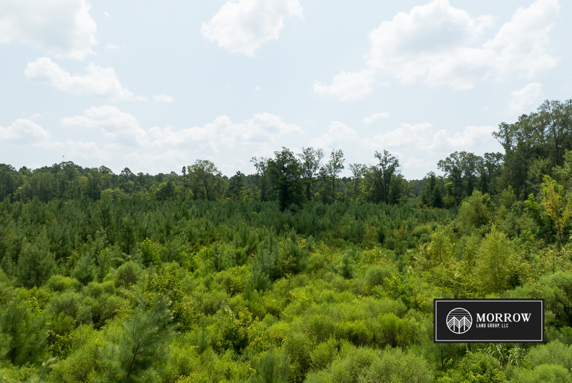 Emma Cemetery Road Tract in Bossier Parish, LA