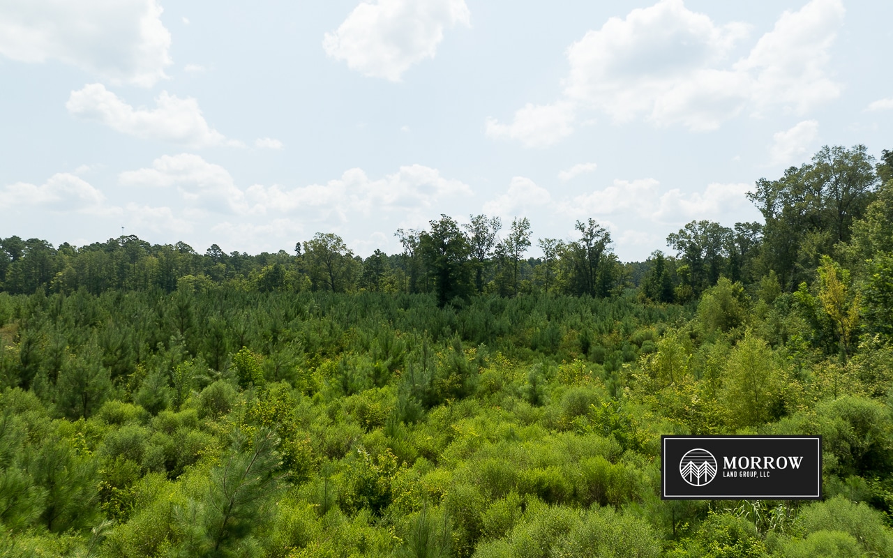 Emma Cemetery Road Tract in Bossier Parish, LA