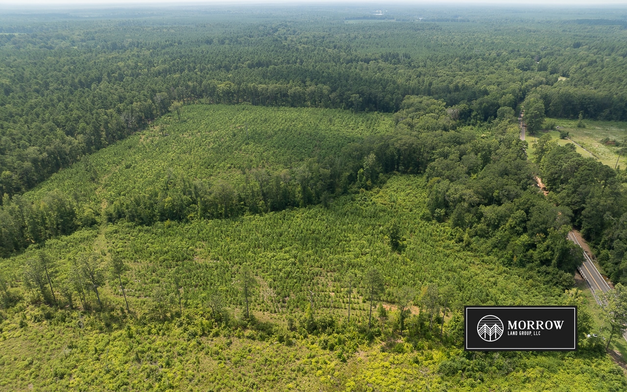 Emma Cemetery Road Tract in Bossier Parish, LA