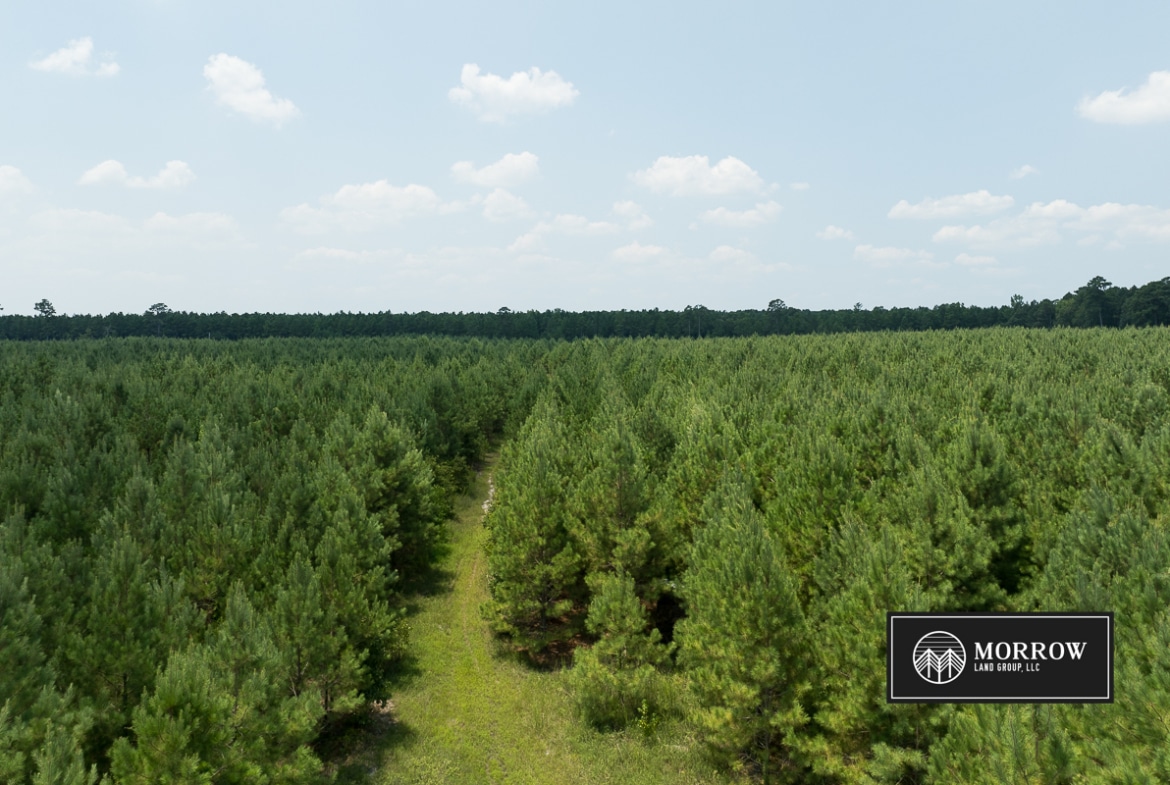 Fifi Bayou Tract in Bossier Parish, LA