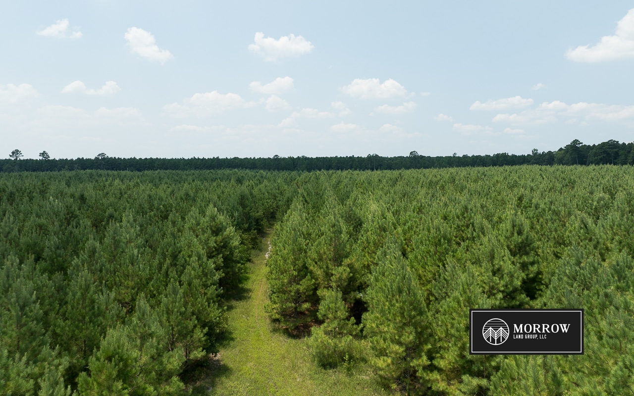 Fifi Bayou Tract in Bossier Parish, LA