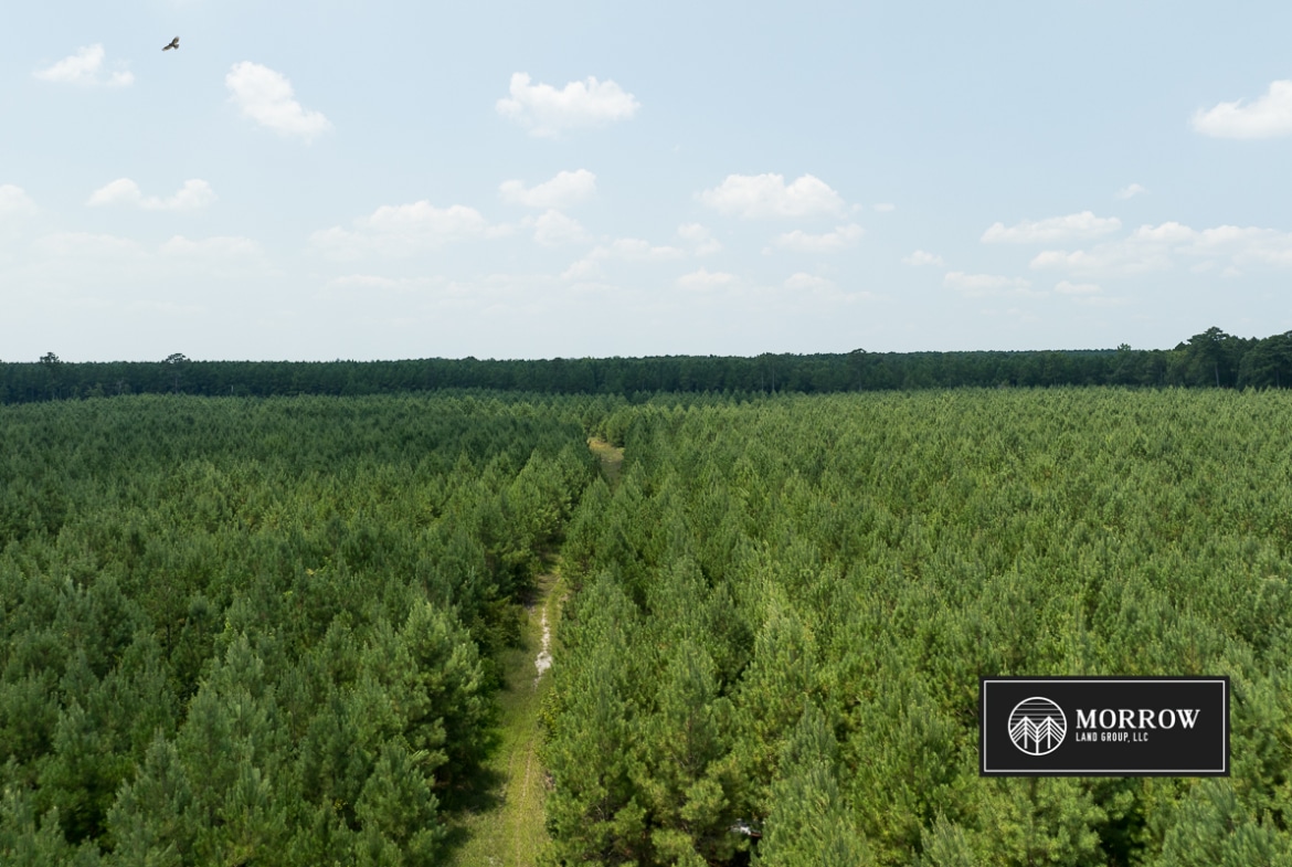 Fifi Bayou Tract in Bossier Parish, LA