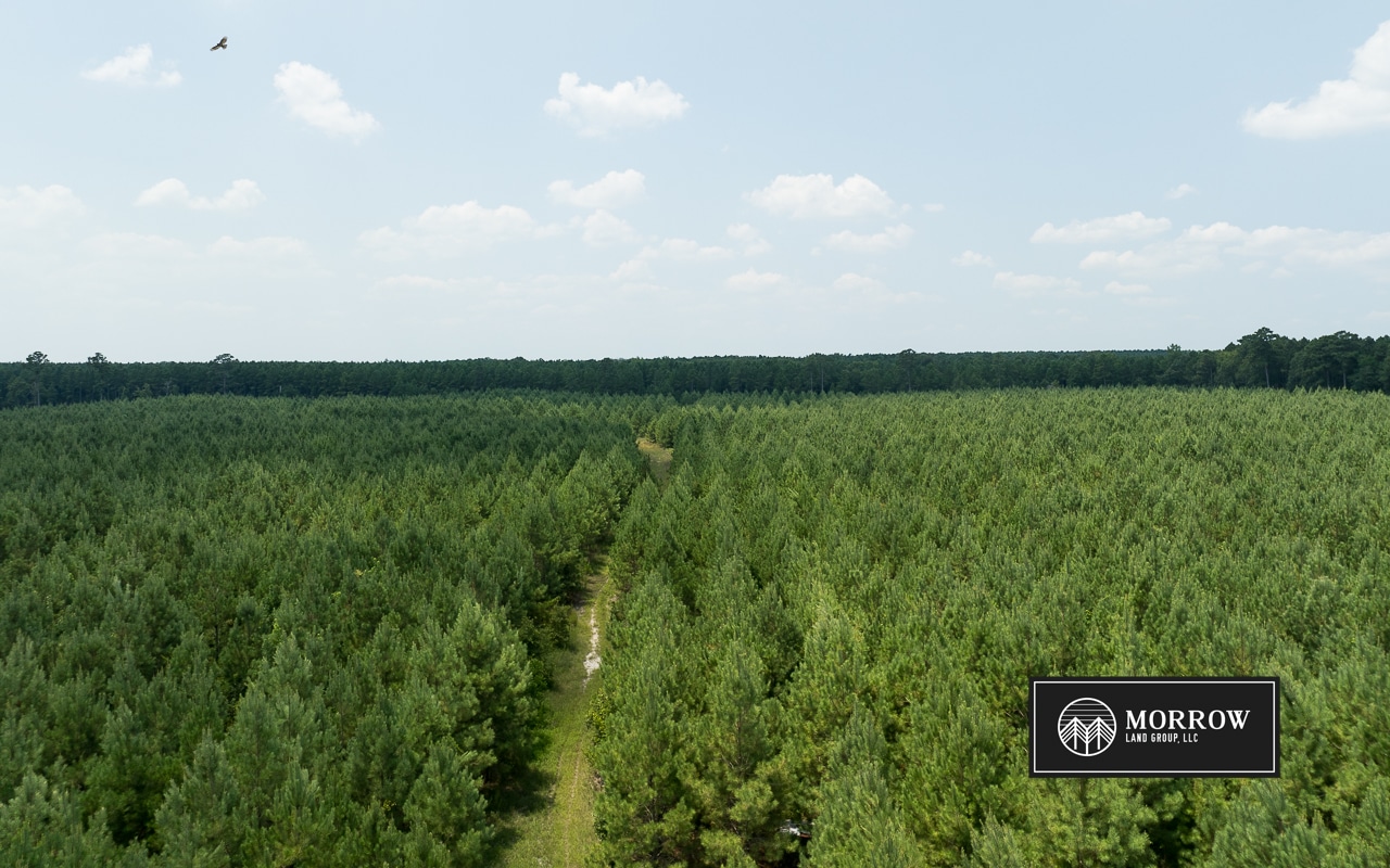 Fifi Bayou Tract in Bossier Parish, LA