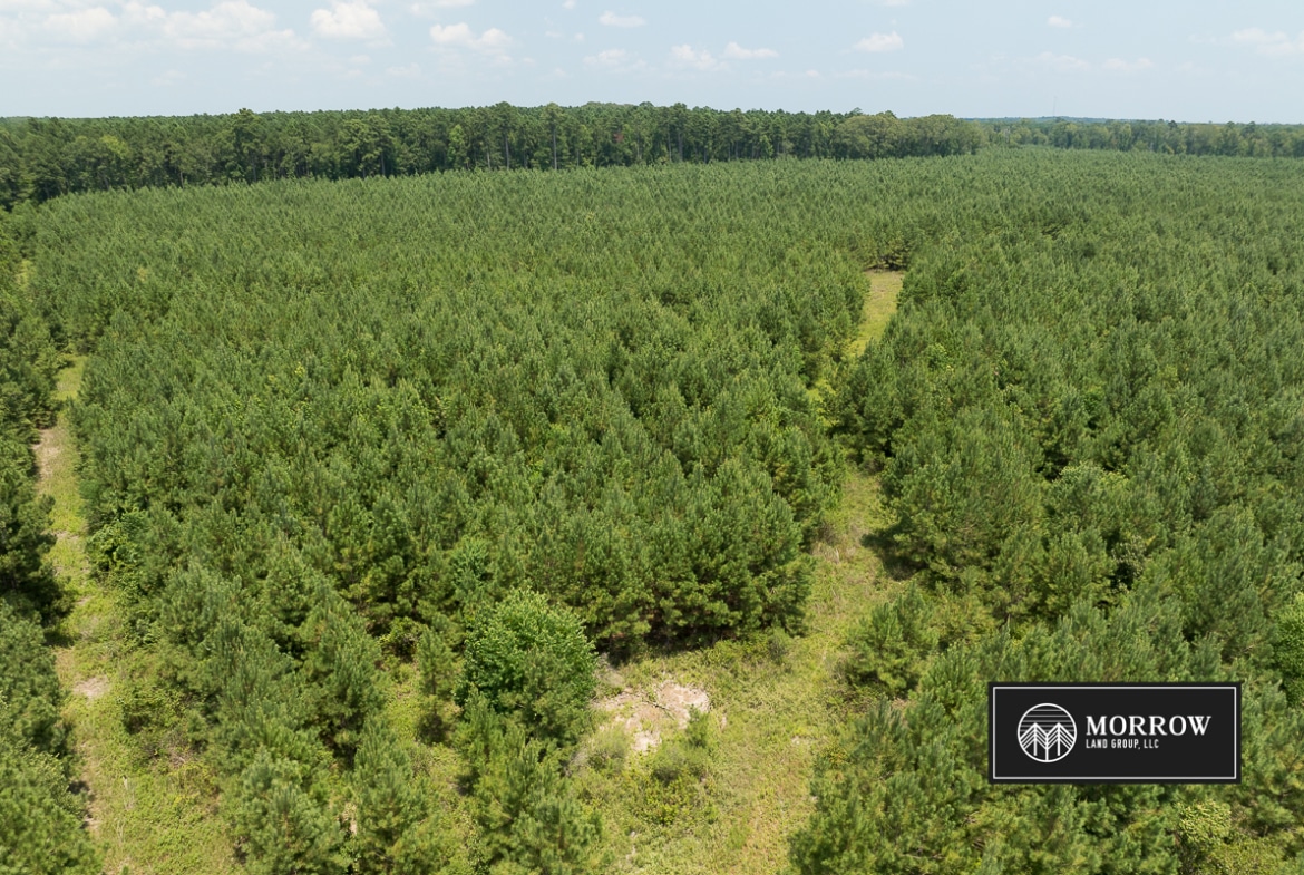 Fifi Bayou Tract in Bossier Parish, LA