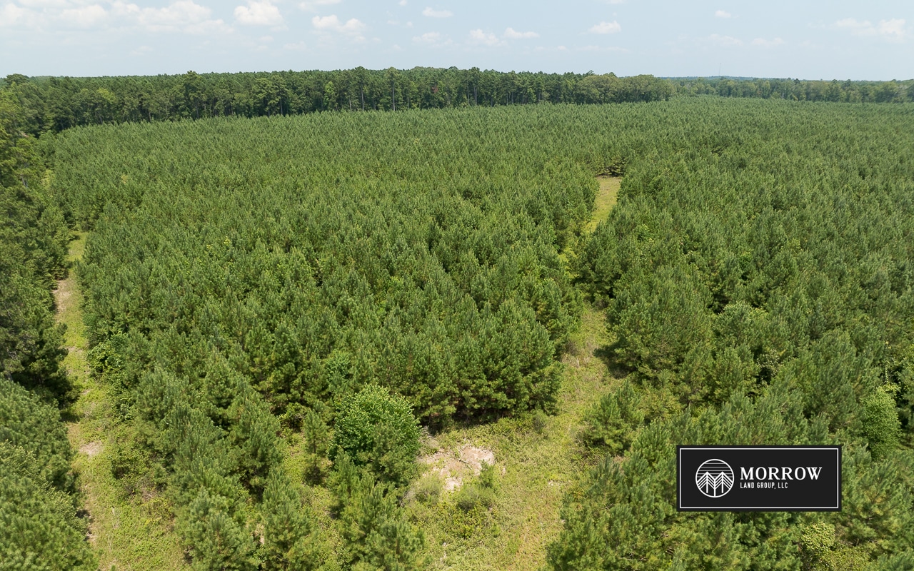 Fifi Bayou Tract in Bossier Parish, LA