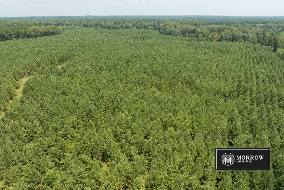 Fifi Bayou Tract in Bossier Parish, LA