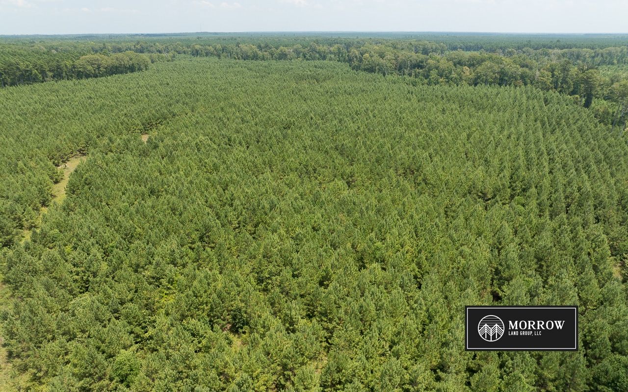 Fifi Bayou Tract in Bossier Parish, LA