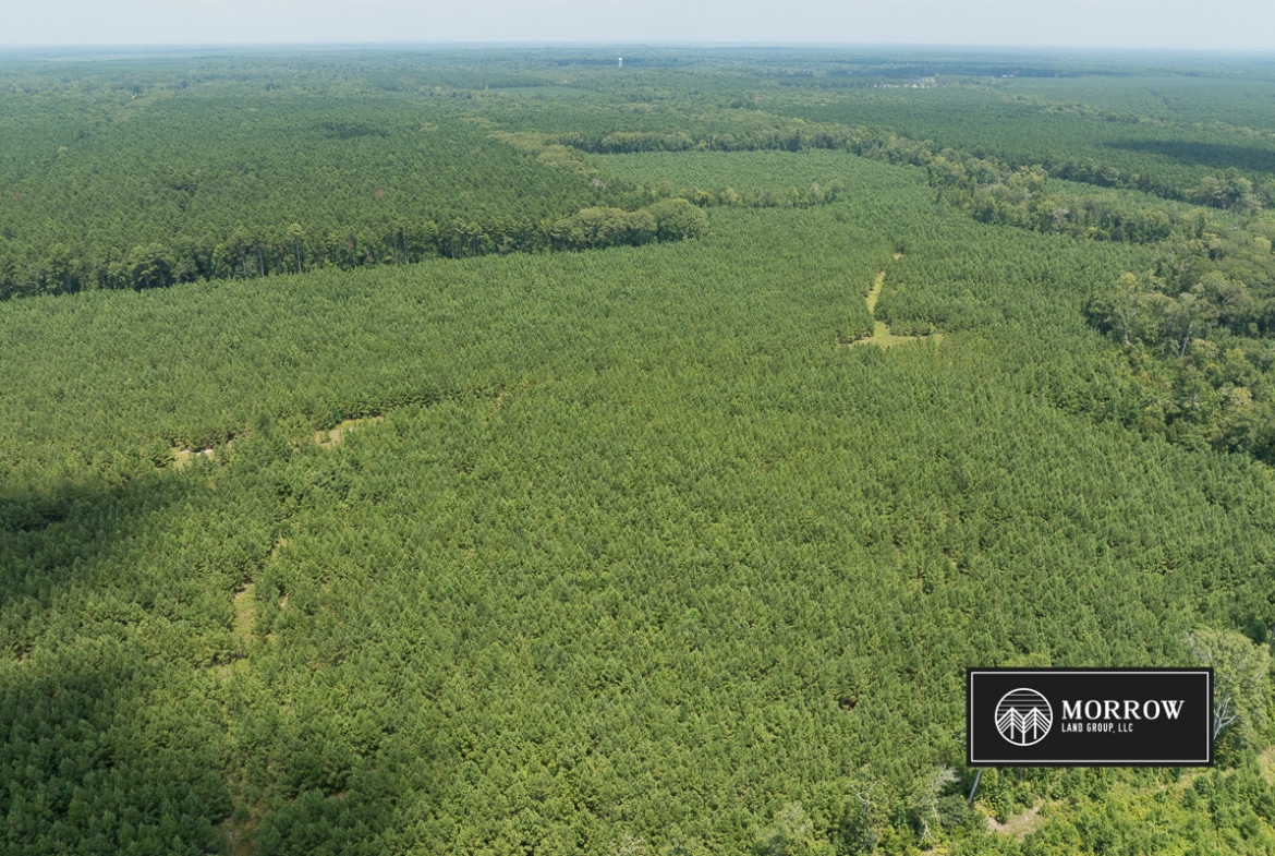 Fifi Bayou Tract in Bossier Parish, LA
