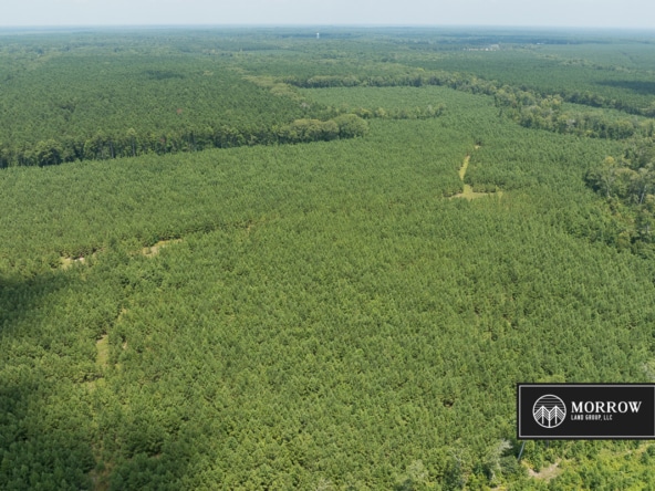 Fifi Bayou Tract in Bossier Parish, LA