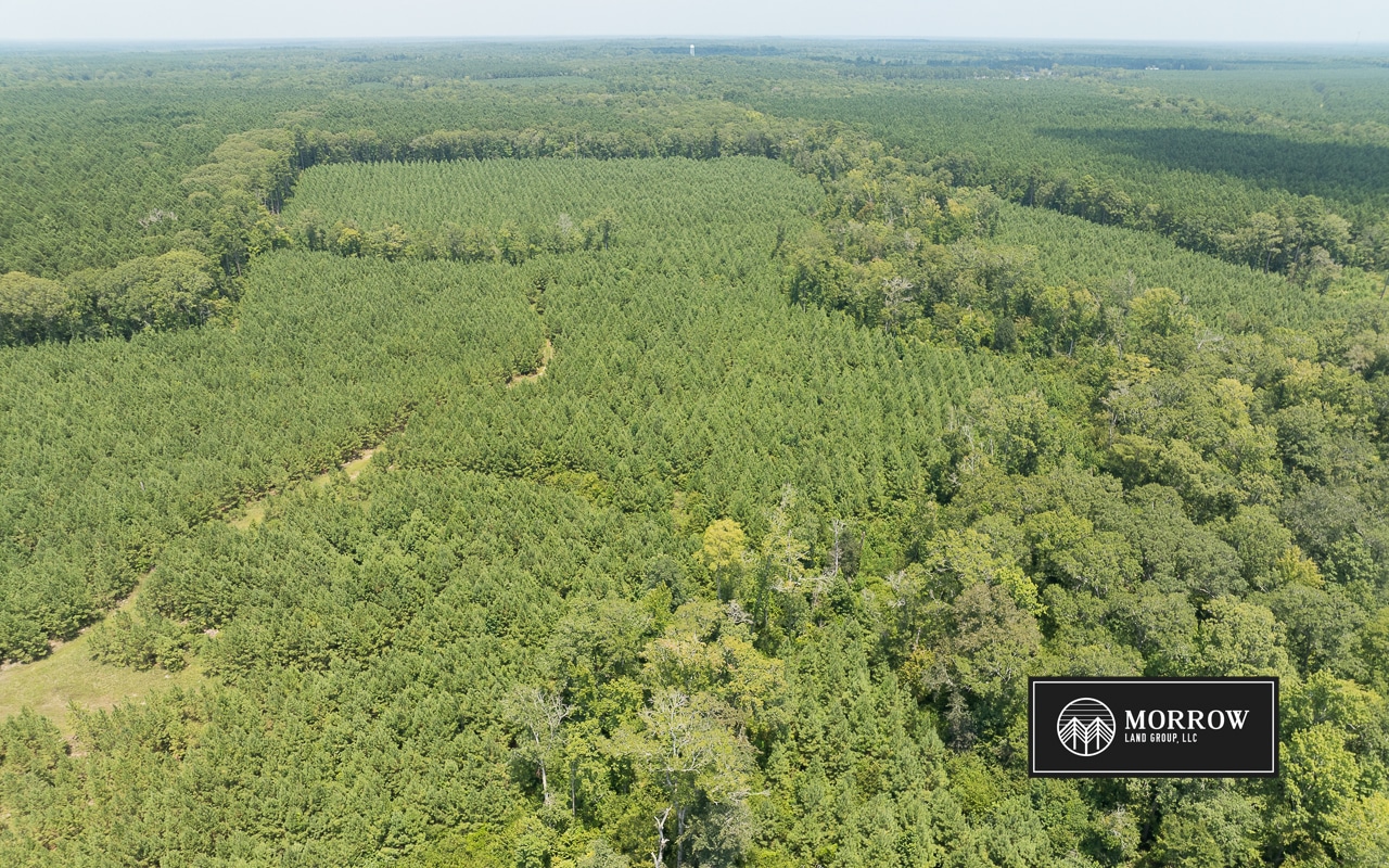 Fifi Bayou Tract in Bossier Parish, LA