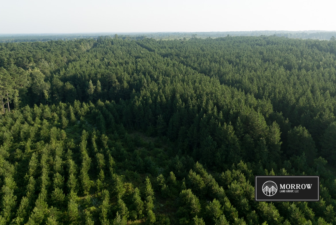 Flat Branch Tract in Bossier Parish, LA