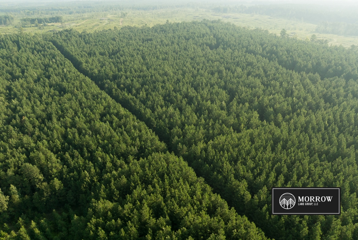 Flat Branch Tract in Bossier Parish, LA