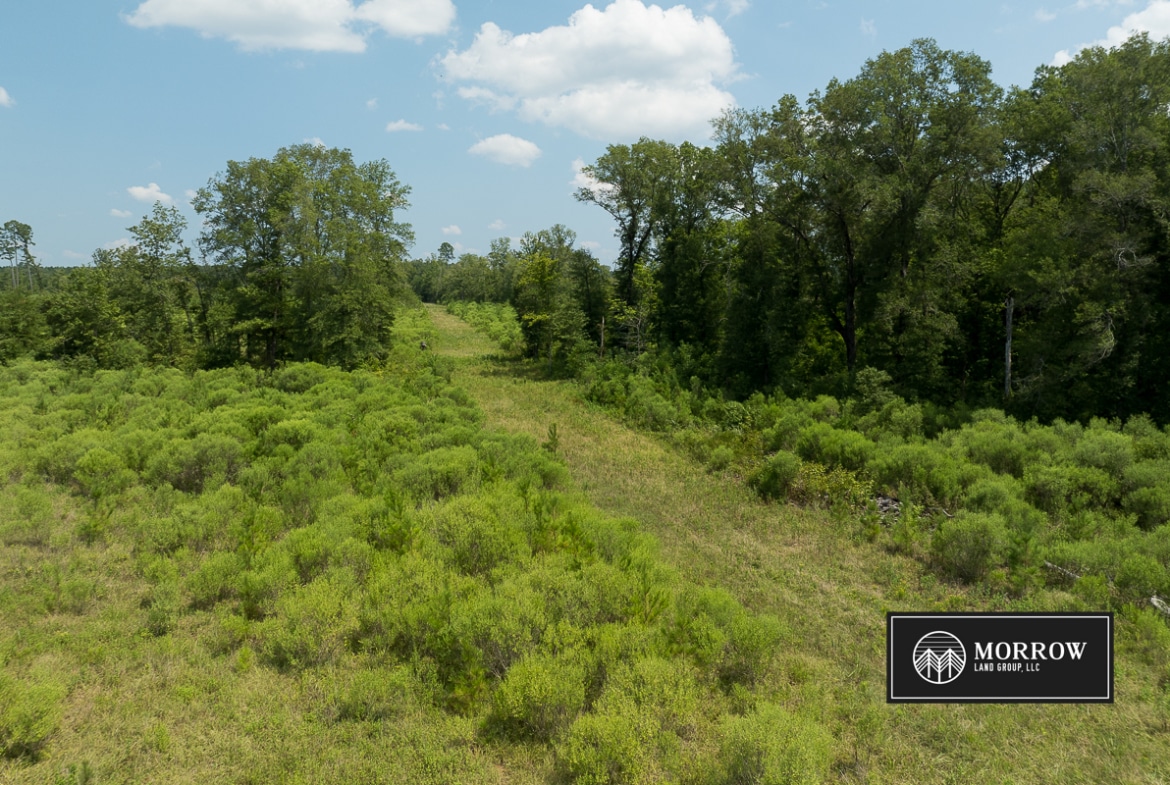 Frances Lane Tract in Bossier Parish, LA