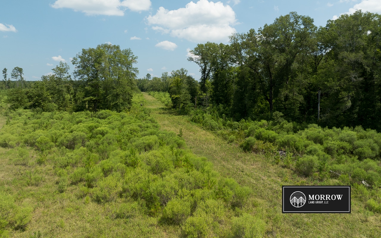 Frances Lane Tract in Bossier Parish, LA