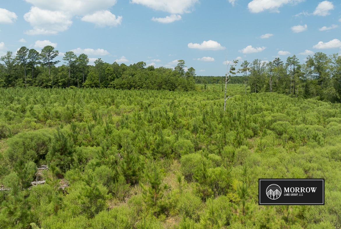 Frances Lane Tract in Bossier Parish, LA