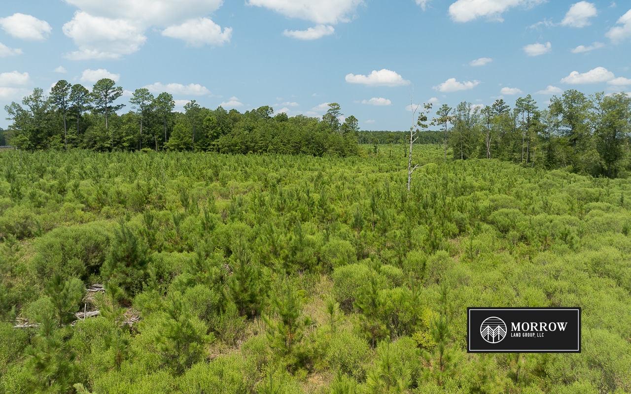 Frances Lane Tract in Bossier Parish, LA