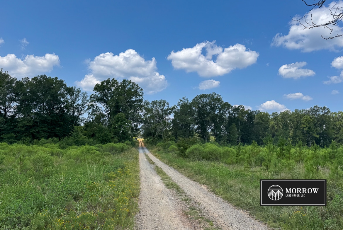 Frances Lane Tract in Bossier Parish, LA