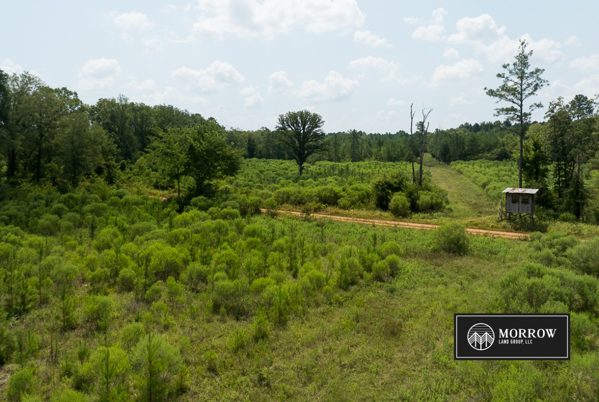 Frances Lane Tract in Bossier Parish, LA