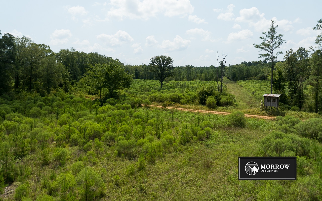 Frances Lane Tract in Bossier Parish, LA