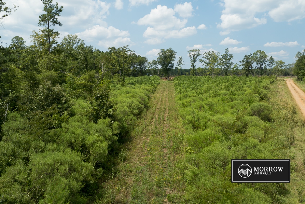 Frances Lane Tract in Bossier Parish, LA