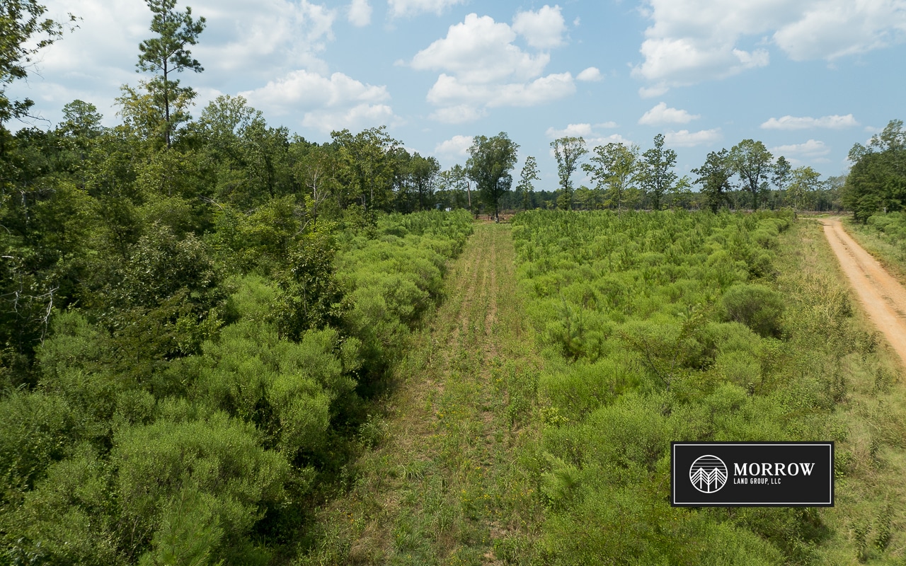 Frances Lane Tract in Bossier Parish, LA
