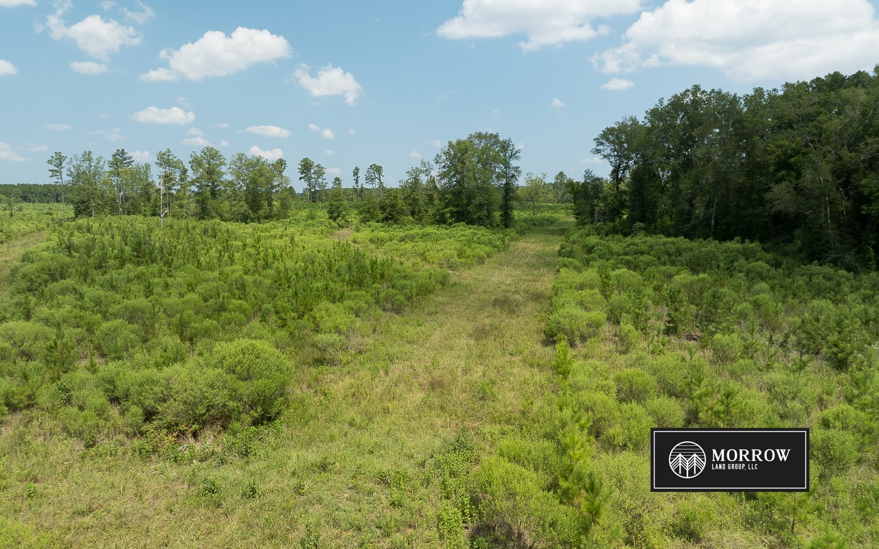 Frances Lane Tract in Bossier Parish, LA