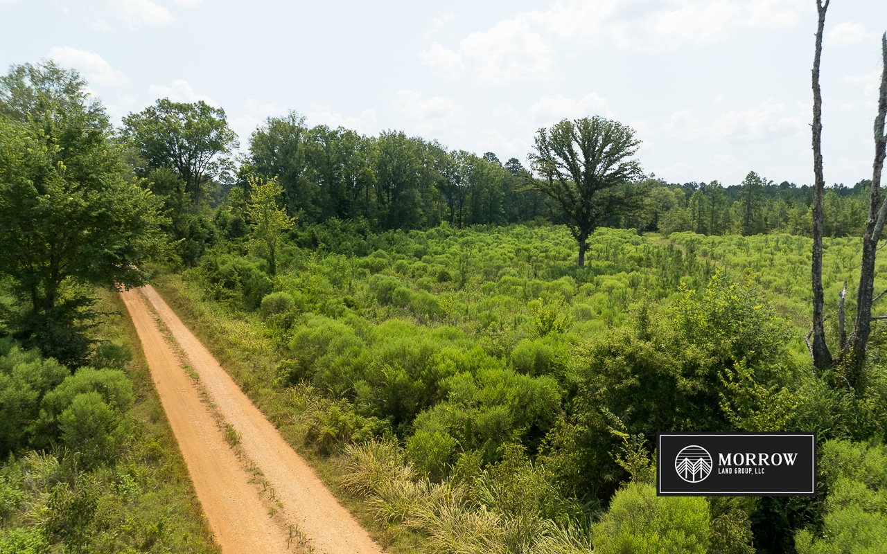 Frances Lane Tract in Bossier Parish, LA