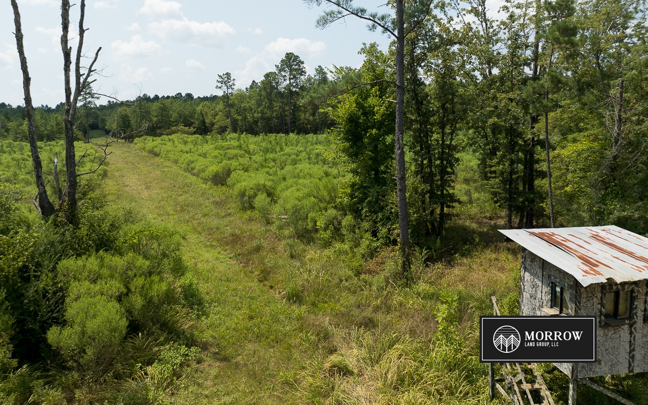Frances Lane Tract in Bossier Parish, LA