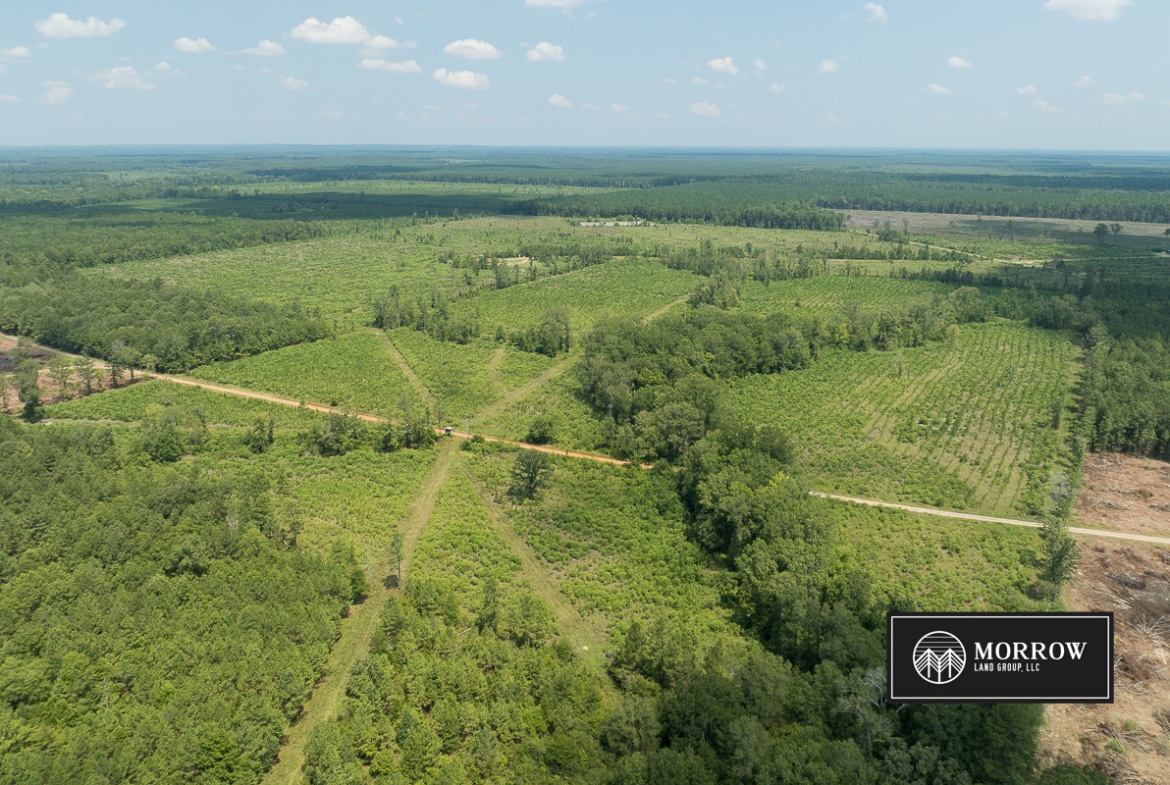 Frances Lane Tract in Bossier Parish, LA