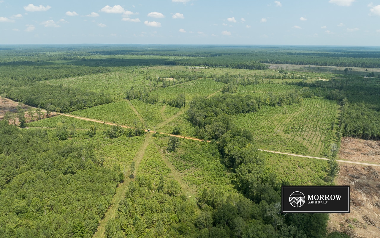 Frances Lane Tract in Bossier Parish, LA