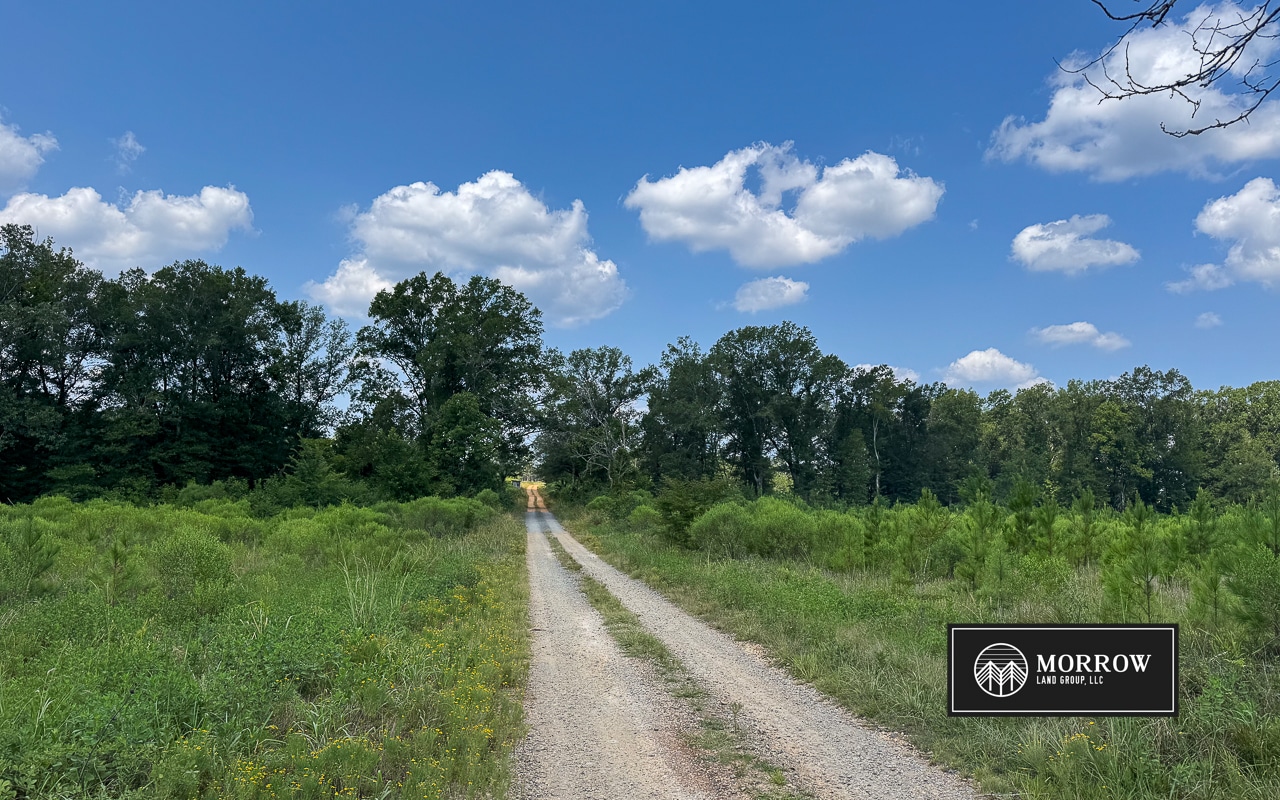 Frances Lane Tract in Bossier Parish, LA