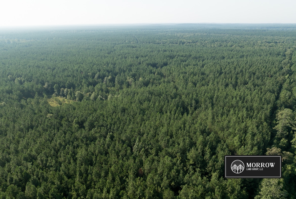 New Light Tract in Bossier Parish, LA