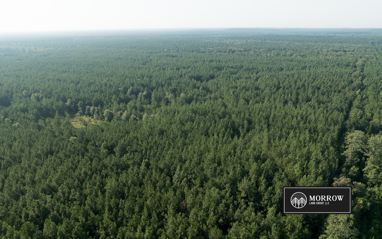 New Light Tract in Bossier Parish, LA