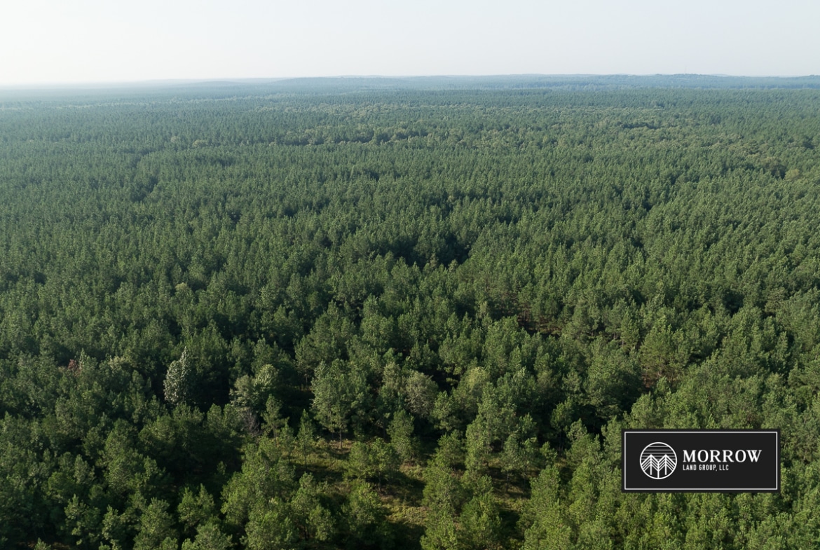 New Light Tract in Bossier Parish, LA