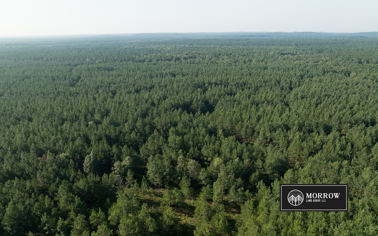 New Light Tract in Bossier Parish, LA