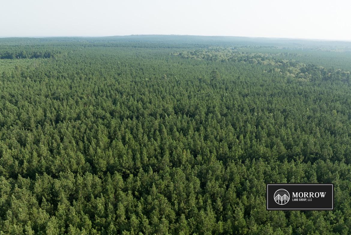 New Light Tract in Bossier Parish, LA