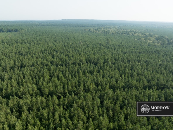 New Light Tract in Bossier Parish, LA