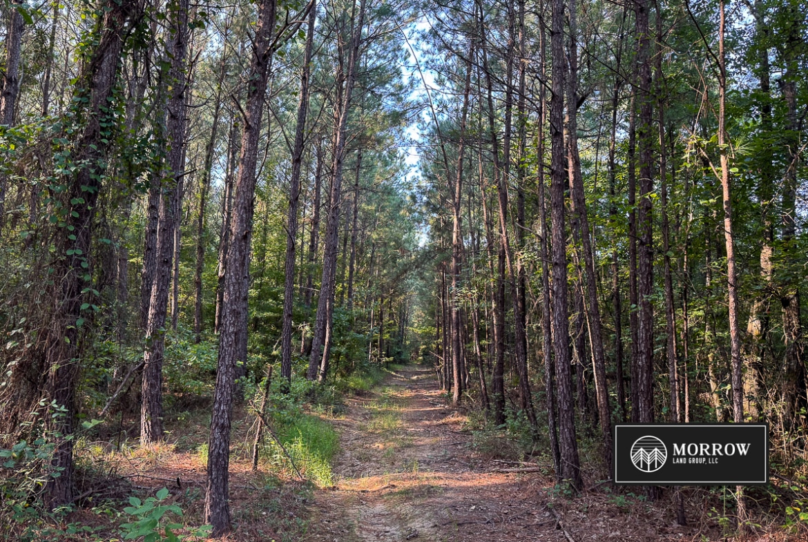 New Light Tract in Bossier Parish, LA