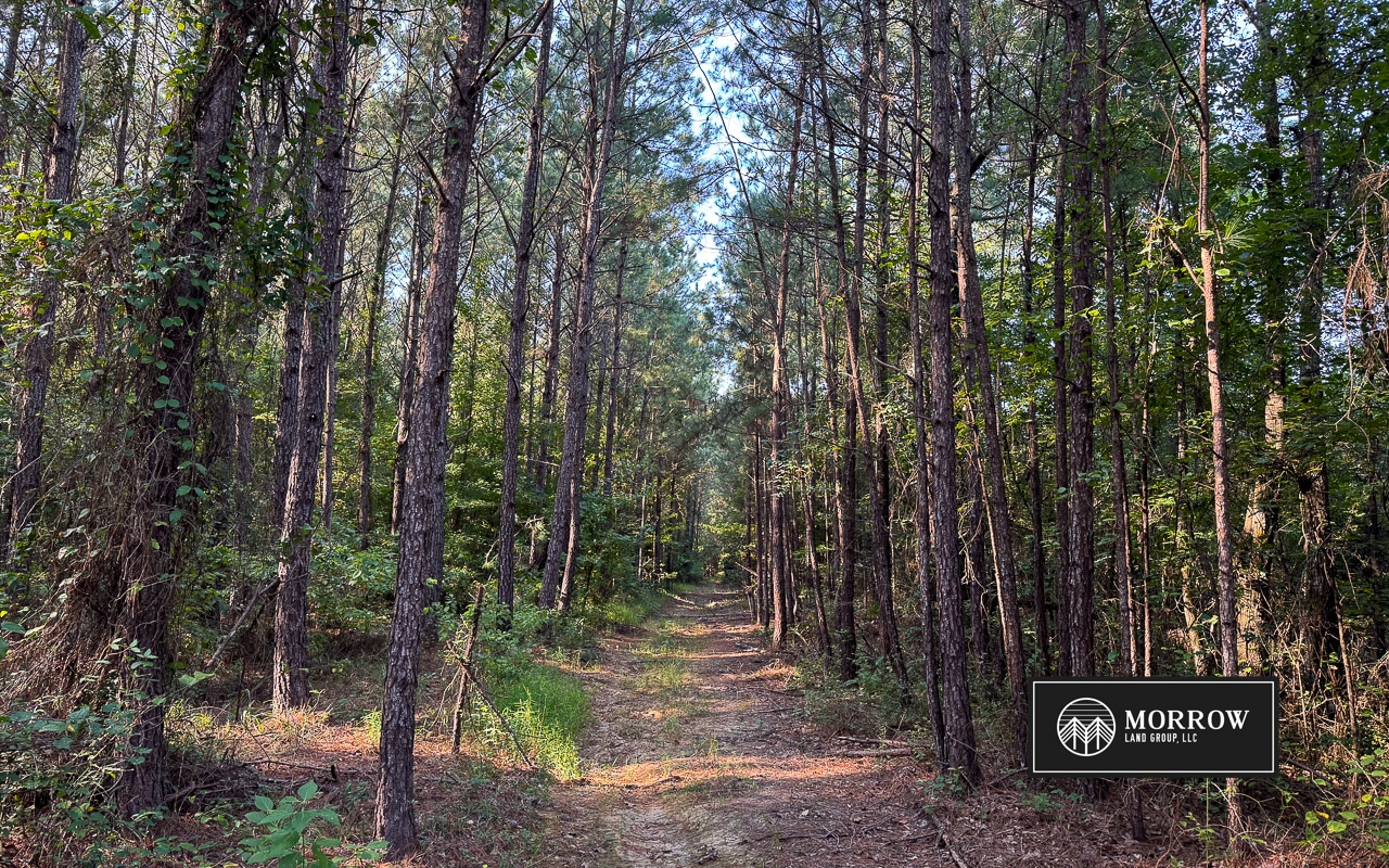 New Light Tract in Bossier Parish, LA
