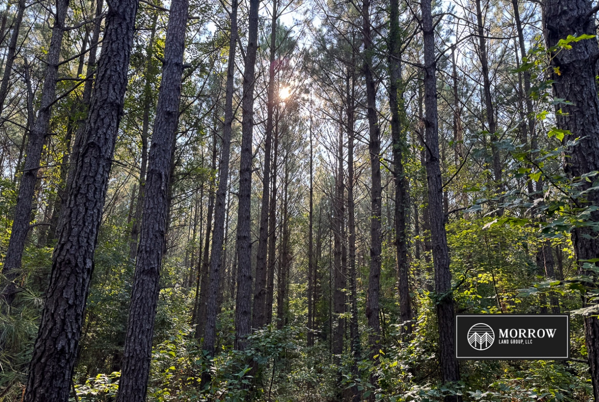 New Light Tract in Bossier Parish, LA