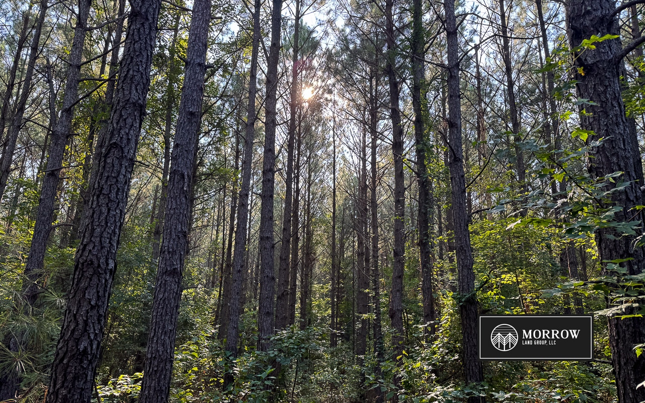 New Light Tract in Bossier Parish, LA