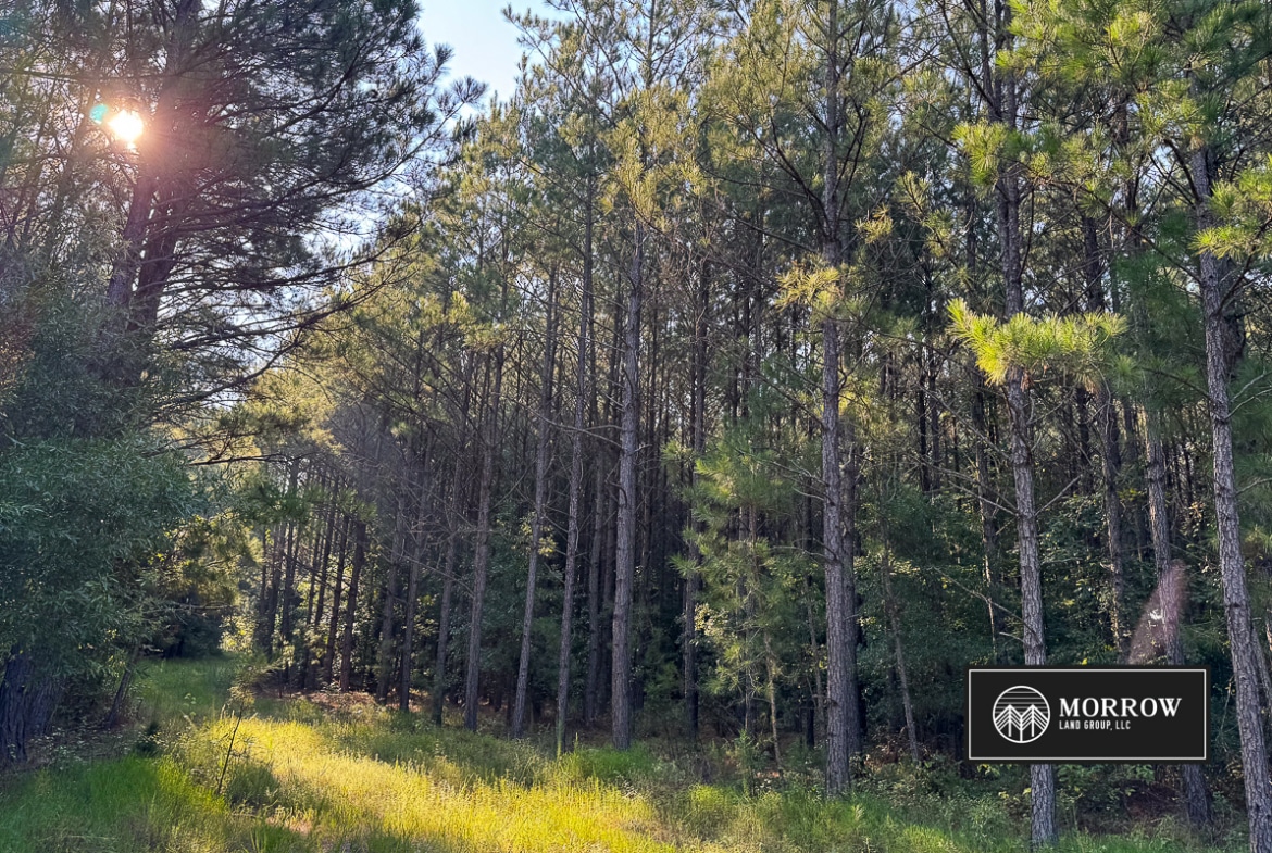 New Light Tract in Bossier Parish, LA